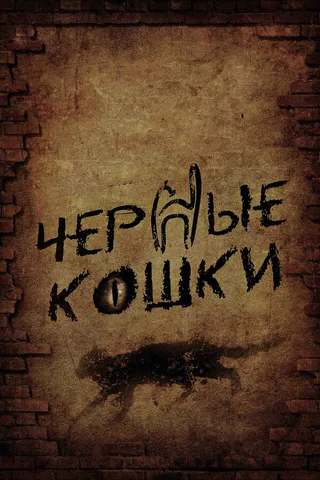 Постер Черные кошки (2013)