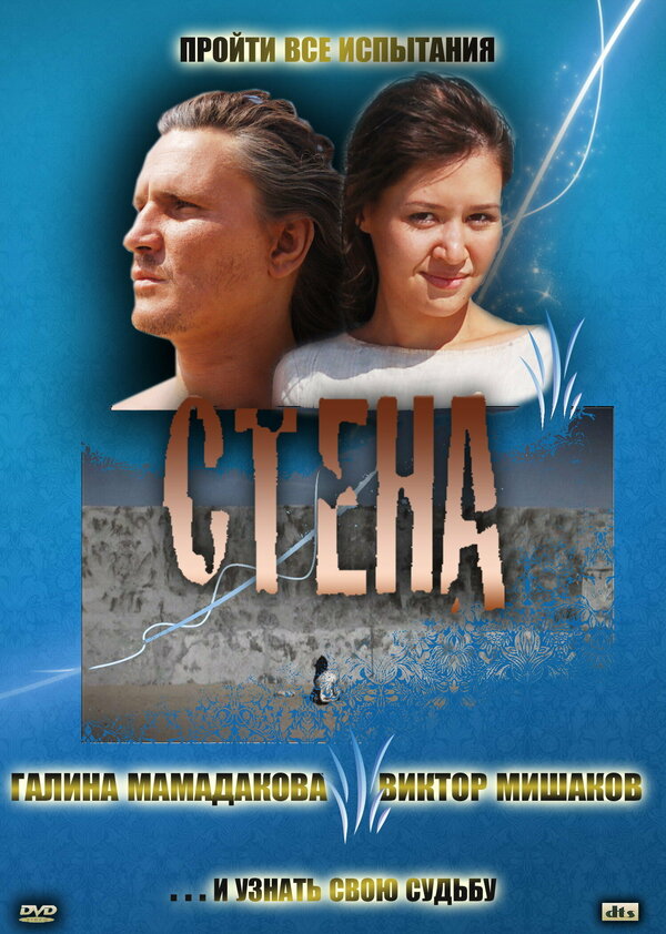 Постер фильма Стена