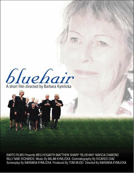 Постер фильма Bluehair