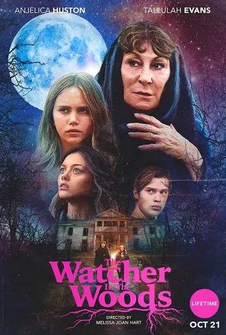 Постер Лесной наблюдатель (2017)