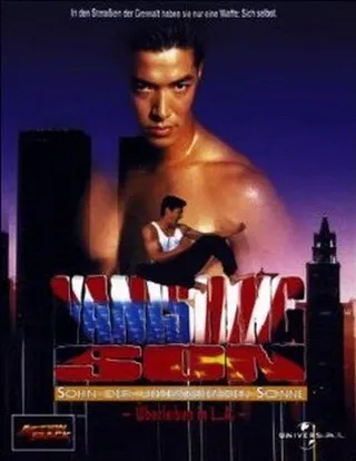 Постер Исчезающий сын 4 (1994)