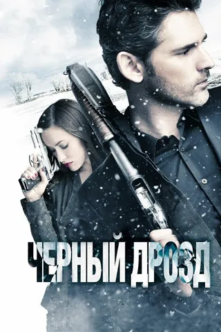 Постер Чёрный дрозд (2011)