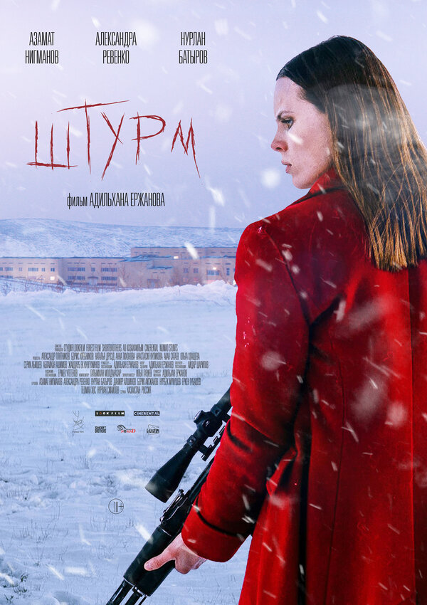 Постер фильма Штурм