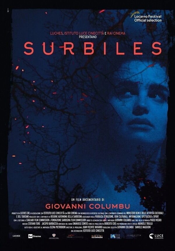 Постер фильма Surbiles