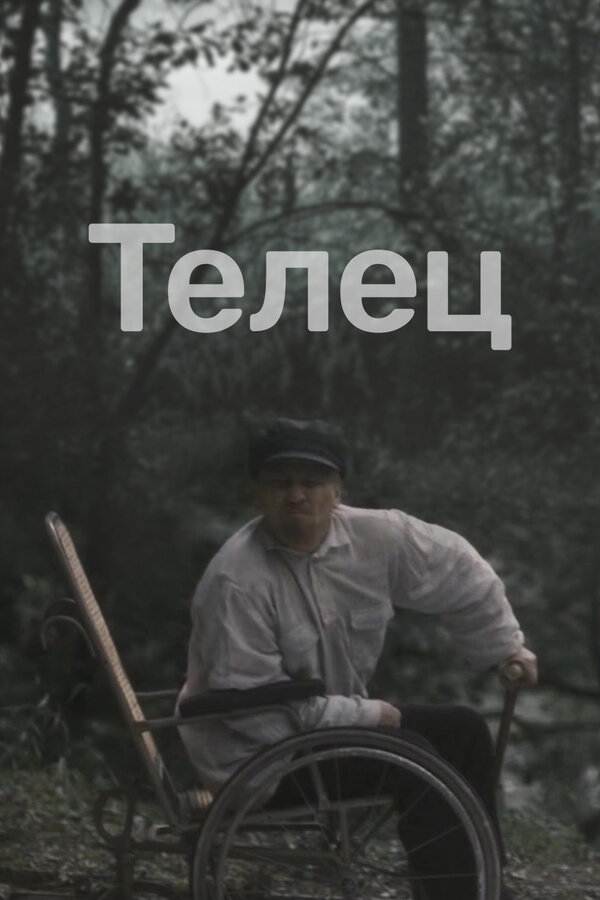 Постер фильма Телец