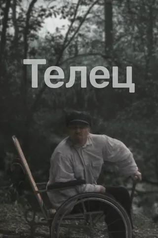 Постер Телец (2000)