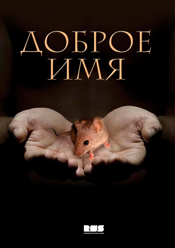 Постер сериала Доброе имя