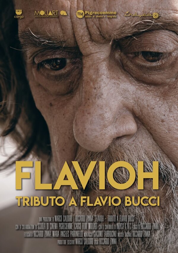 Постер фильма Flavioh - Tributo a Flavio Bucci