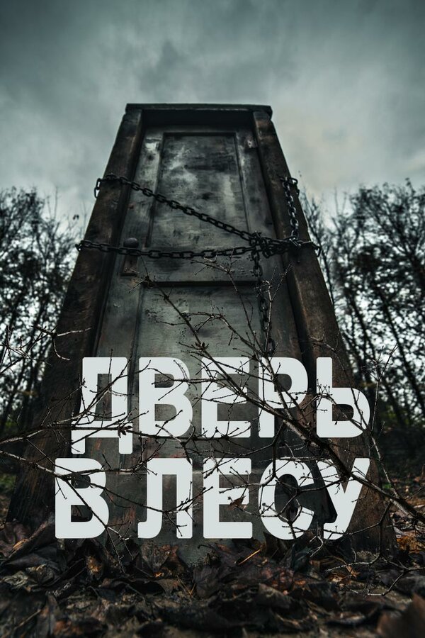 Постер фильма Дверь в лесу