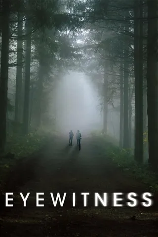 Постер Свидетели (2016)