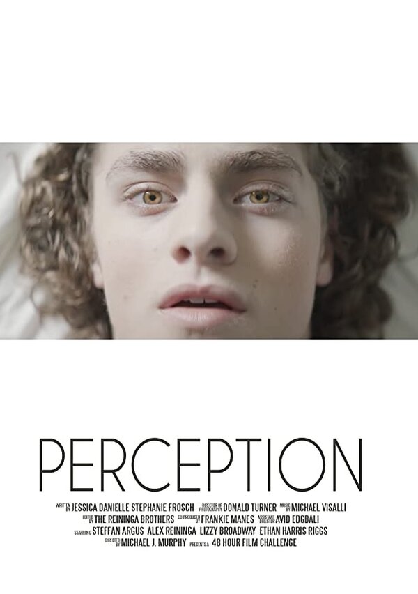 Постер фильма Perception