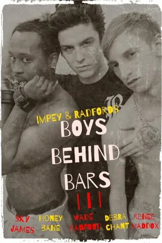 Постер Boys Behind Bars 3 (2015)