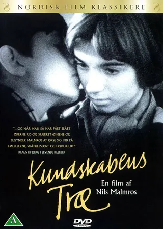 Постер Древо познания (1981)