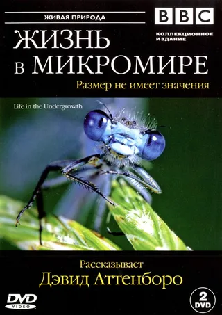 Постер BBC: Жизнь в микромире (2005)