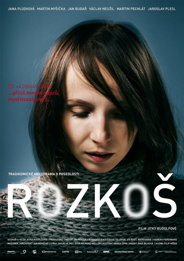 Постер фильма Rozkos