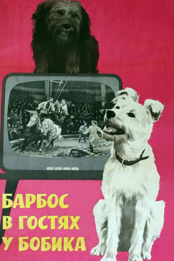 Постер фильма Барбос в гостях у Бобика