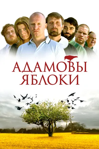 Постер Адамовы яблоки (2005)