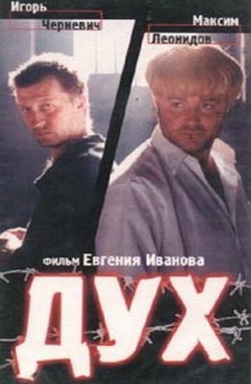 Постер фильма Дух