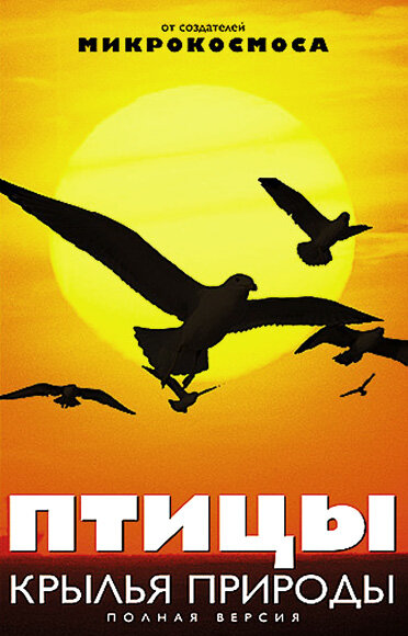 Постер сериала Птицы: Крылья природы
