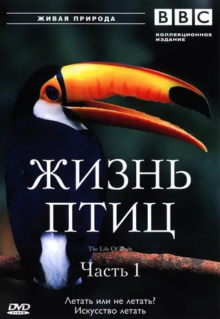 Постер BBC: Жизнь птиц (1998)