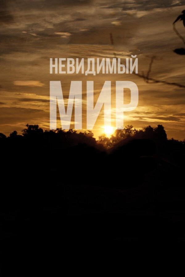 Постер фильма Невидимый мир