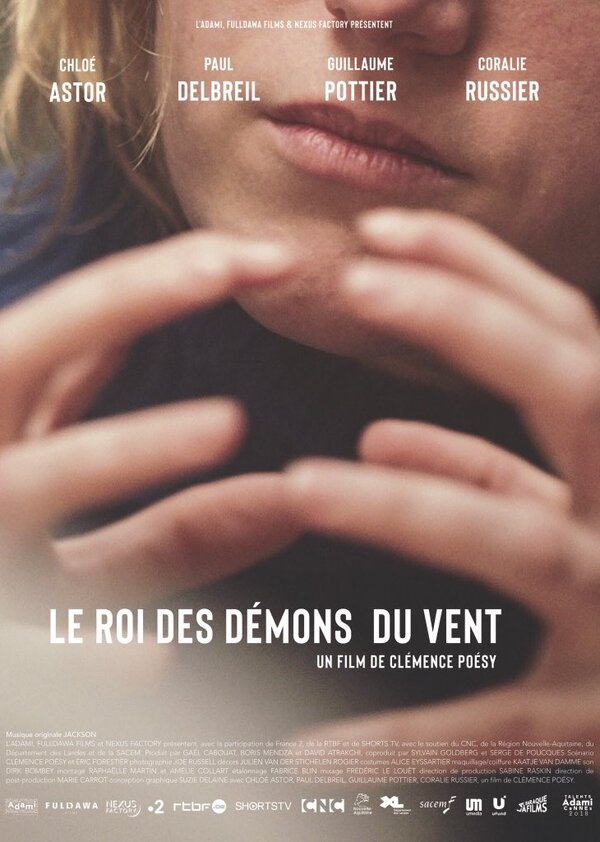 Постер фильма Le roi des démons du vent