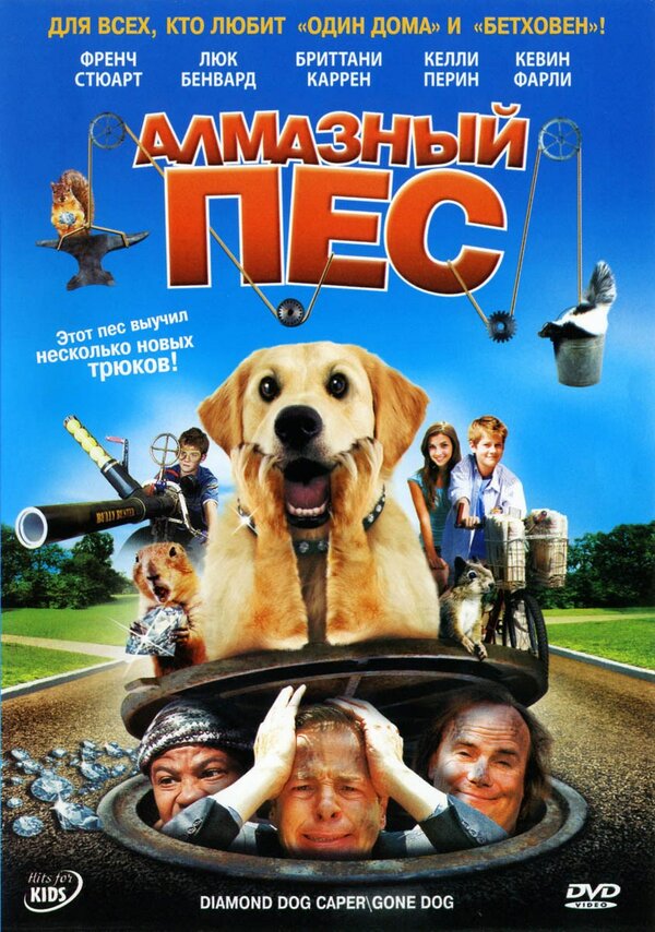 Постер фильма Алмазный пес