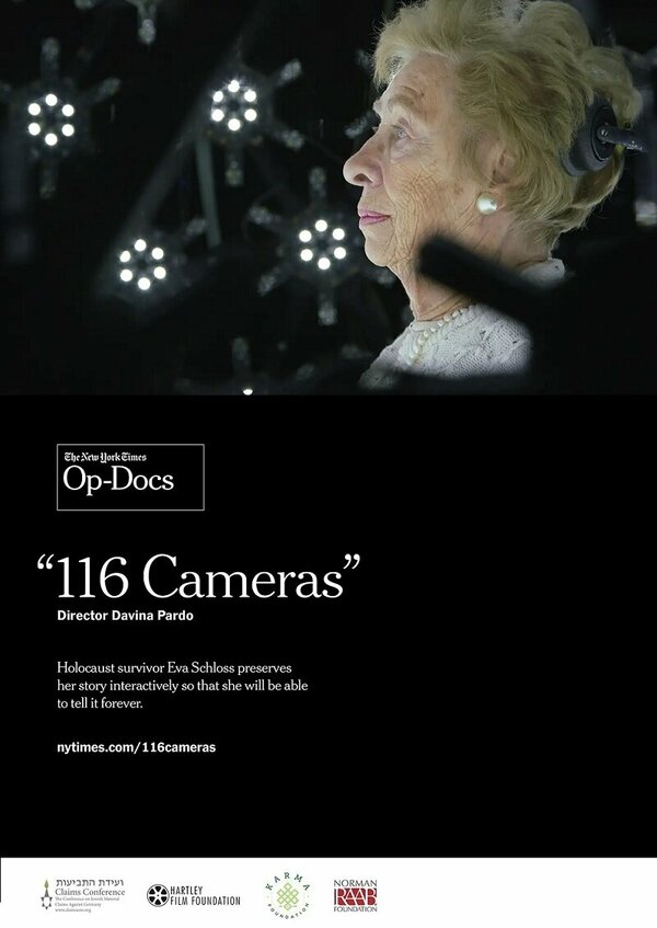 Постер фильма 116 Cameras