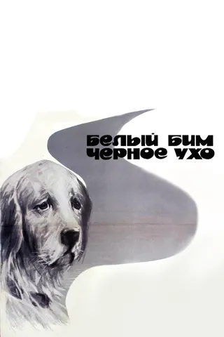 Постер Белый Бим Черное ухо (1976)