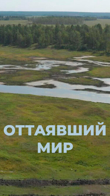 Постер фильма Оттаявший мир