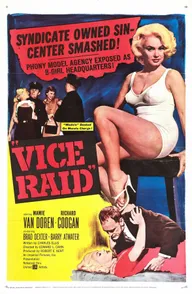 Vice Raid