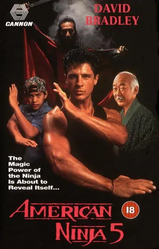 Постер Американский ниндзя 5 (1992)