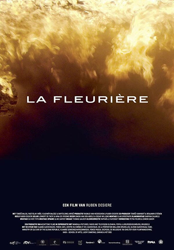 Постер фильма La fleurière
