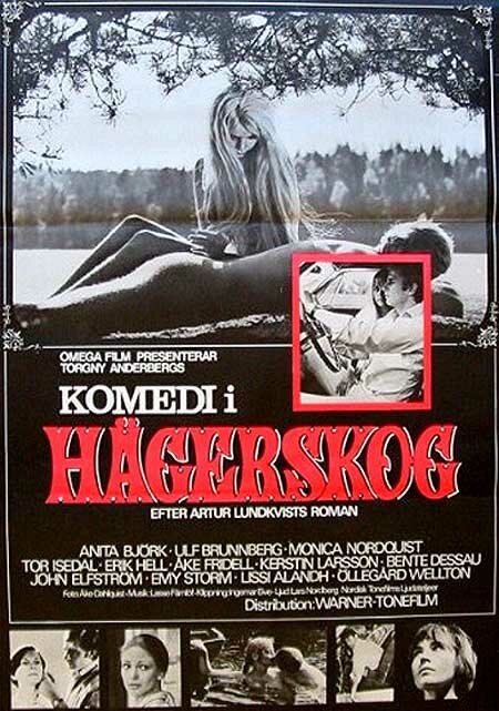 Постер фильма Комедия в Хегерскуге