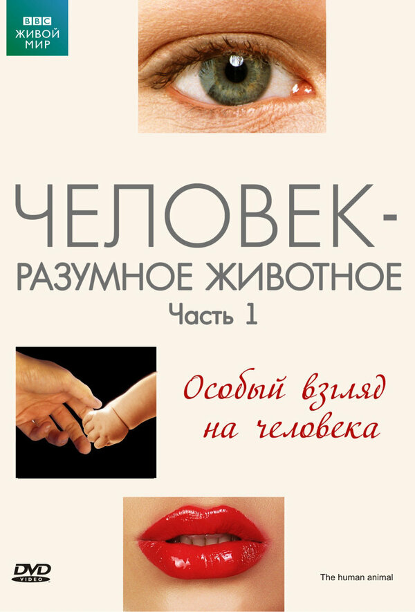 Постер сериала BBC: Человек – разумное животное