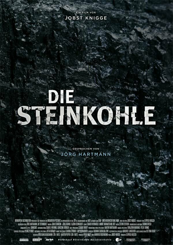 Постер сериала Die Steinkohle
