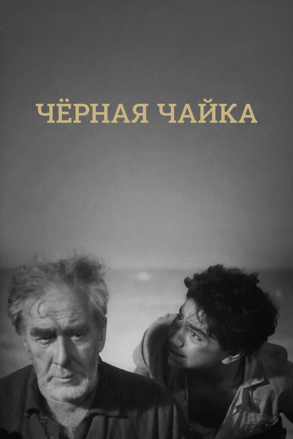 Постер фильма Черная чайка