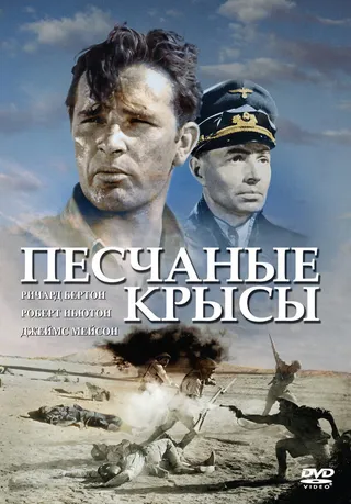 Постер Песчаные крысы (1953)