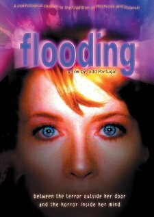Постер фильма Flooding