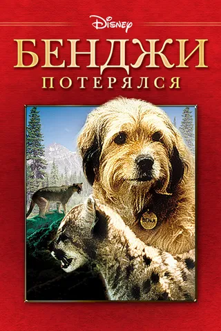 Постер Бенджи потерялся (1987)