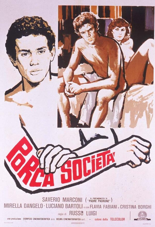 Постер фильма Свинское общество