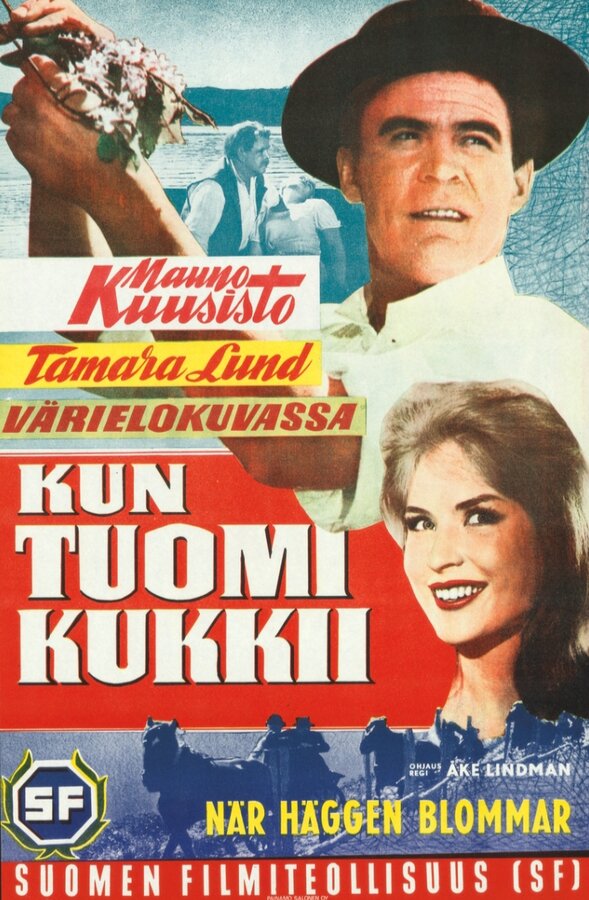 Постер фильма Kun tuomi kukkii