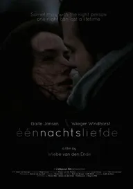 Eénnachtsliefde