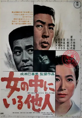 Постер Незнакомец внутри женщины (1966)