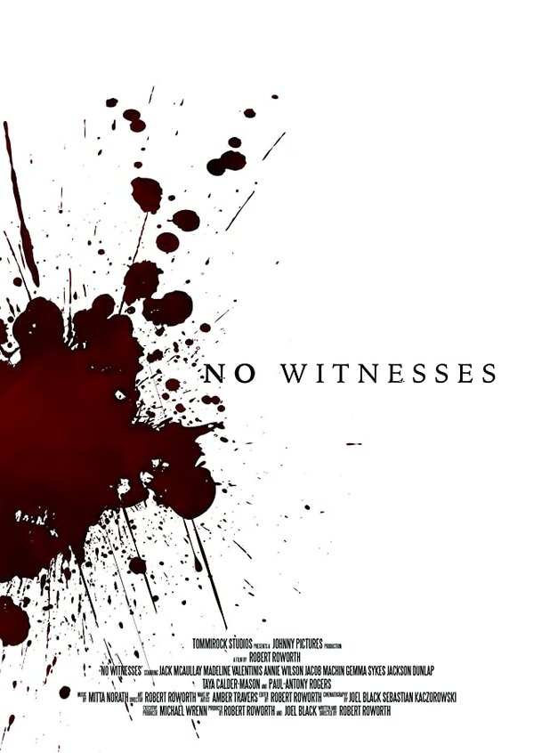 Постер фильма No Witnesses