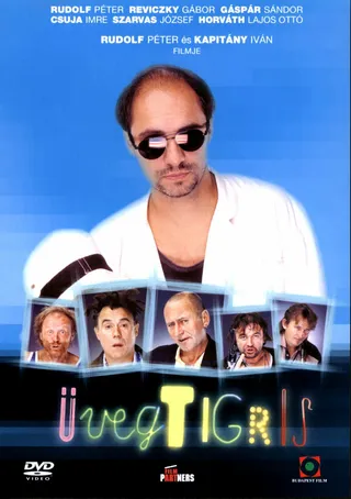 Постер Стеклянный тигр (2001)