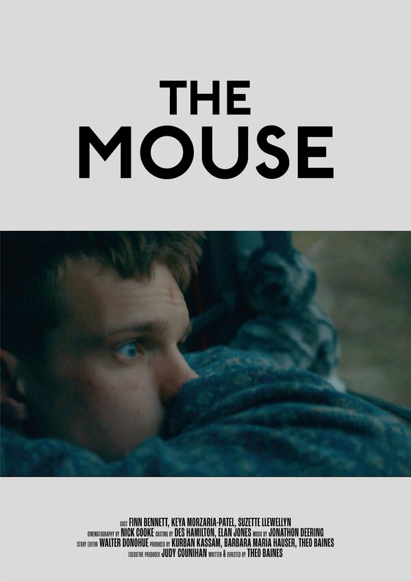 Постер фильма The Mouse