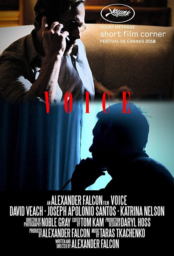 Постер фильма Voice